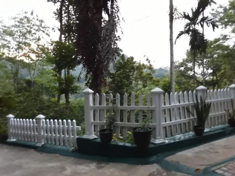 Villa25 Homestay Free Pick Up From The Centre كاندي المظهر الخارجي الصورة