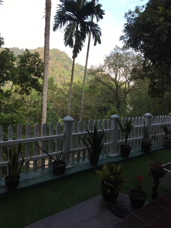 Villa25 Homestay Free Pick Up From The Centre كاندي المظهر الخارجي الصورة